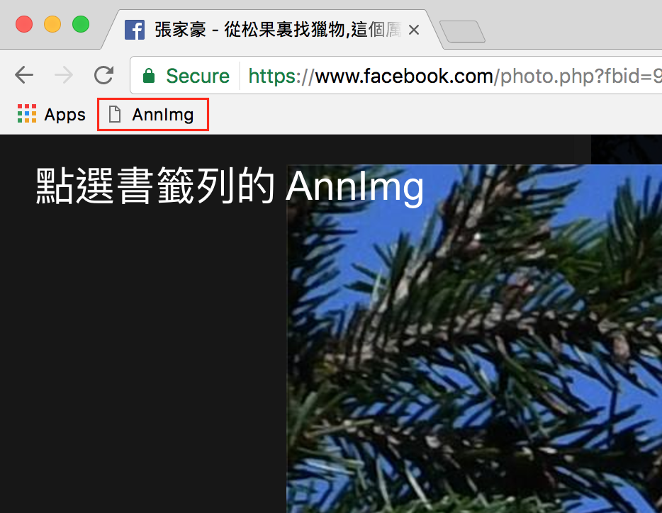 煤山雀吃雲杉的種子,帶入 AnnImg